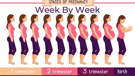 Week 3 .
